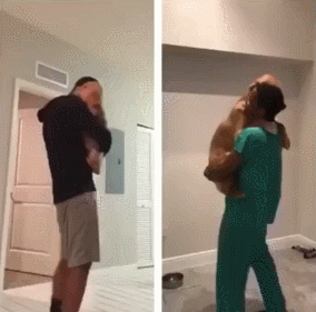 개의 변하지 않는 습성 | 인스티즈