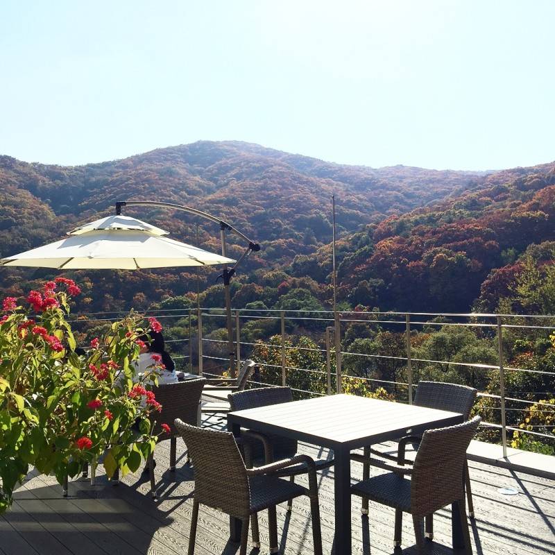 수도권 프로카페러가 자신있게 추천하는 한적한 카페 스팟들.jpg | 인스티즈