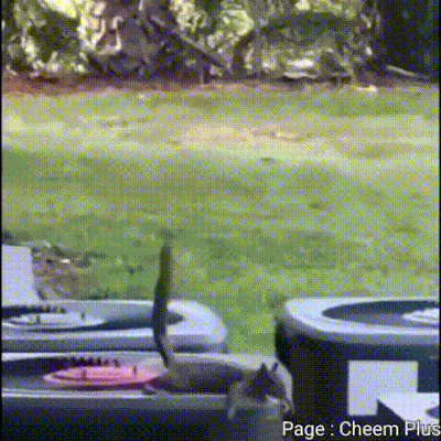 누가 내 머리에 똥 쌌어? | 인스티즈