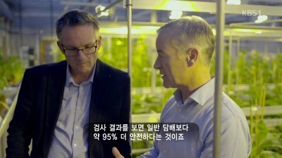 bbc 다큐 전자담배의 진실 | 인스티즈