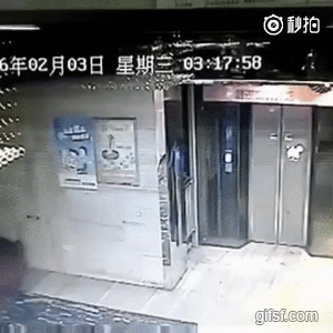 중국 엘리베이터 사고 | 인스티즈