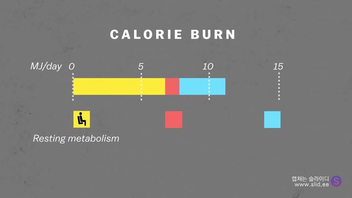 다이어트에 운동은 정말 도움이 되는걸까.jpg | 인스티즈