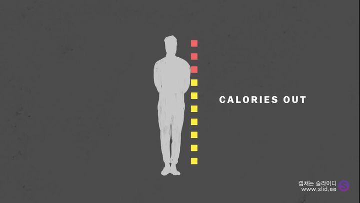 다이어트에 운동은 정말 도움이 되는걸까.jpg | 인스티즈