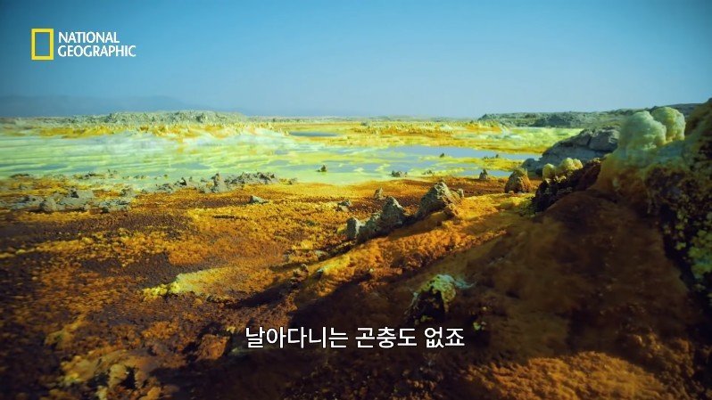 댈롤 화산: 지옥과 같은 이곳에 사는 단 하나의 생명체 | 인스티즈