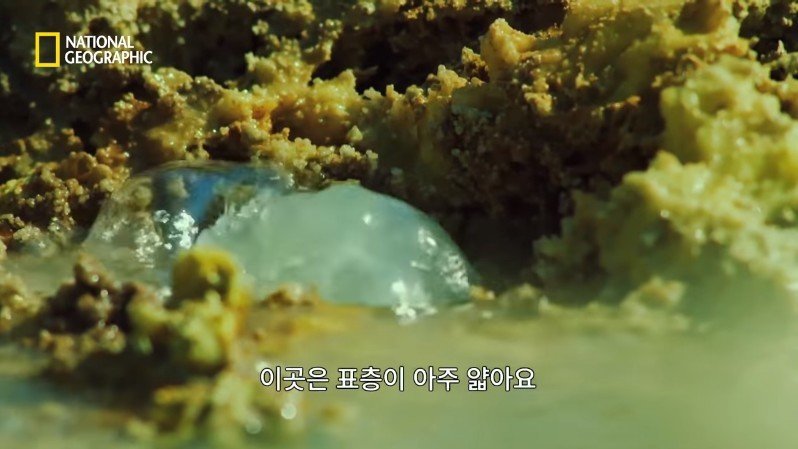 댈롤 화산: 지옥과 같은 이곳에 사는 단 하나의 생명체 | 인스티즈