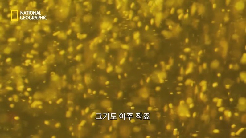 댈롤 화산: 지옥과 같은 이곳에 사는 단 하나의 생명체 | 인스티즈