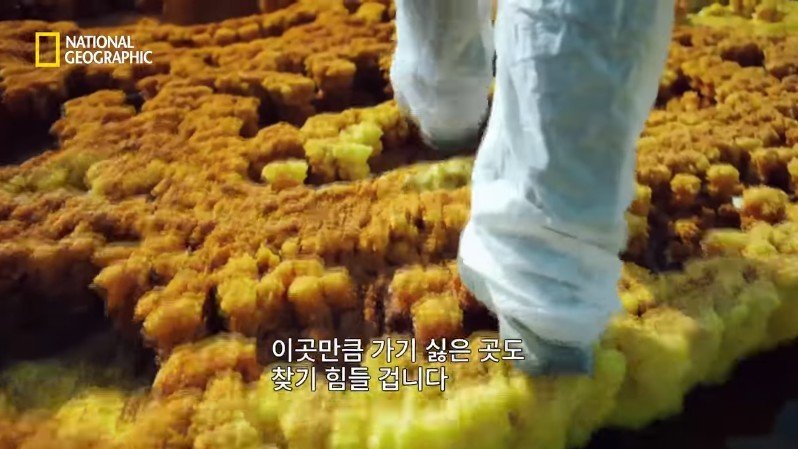 댈롤 화산: 지옥과 같은 이곳에 사는 단 하나의 생명체 | 인스티즈