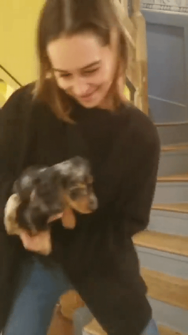 강아지보다 더 강아지 같은 삼룡엄마 에밀리아 클라크 | 인스티즈