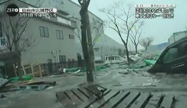 일본 지진 당시 쓰나미에 속수무책으로 당하는 자동차 안 상황.gif | 인스티즈