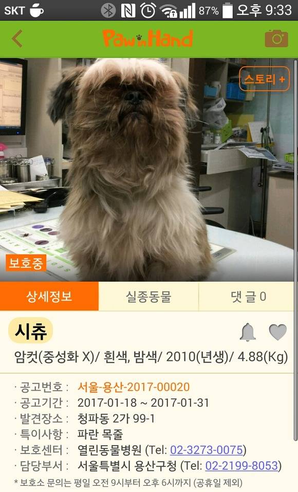 추운 날씨에도 버려지는 강아지들이 너무 많네요..ㅠㅠ | 인스티즈