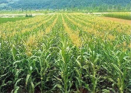 택배 상하차보다 힘들고 노가다 아저씨들도 안한다는 알바 | 인스티즈