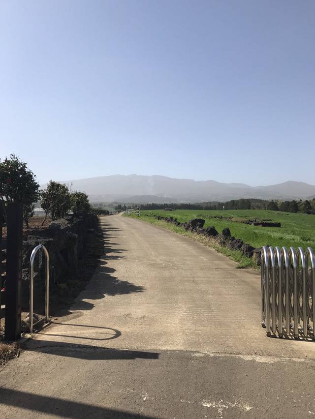 제주도 미세먼지 ㄷㄷㄷ | 인스티즈