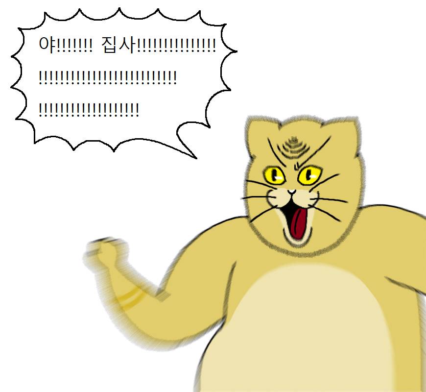 고양이랑 같이 다이어트하는 만화 | 인스티즈