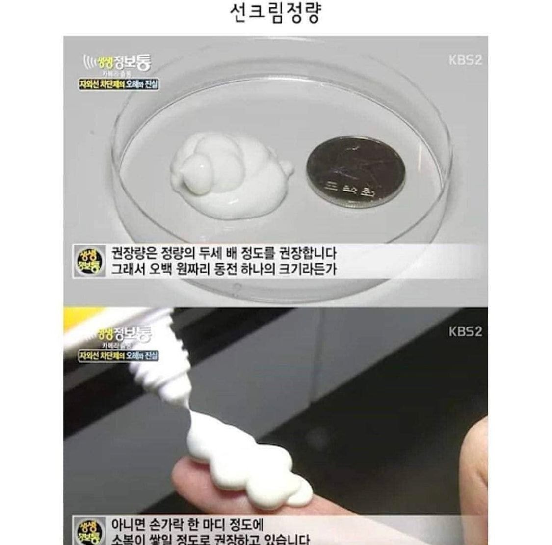 썬크림 정량 가장 잘지키는 아이돌(주어 방탄) | 인스티즈