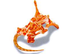 한국인이면 좋아하는 소 & 돼지 고기 부위별 | 인스티즈