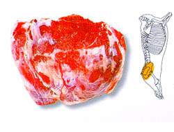 한국인이면 좋아하는 소 & 돼지 고기 부위별 | 인스티즈