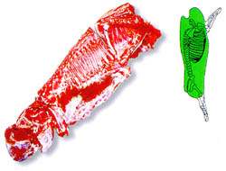 한국인이면 좋아하는 소 & 돼지 고기 부위별 | 인스티즈