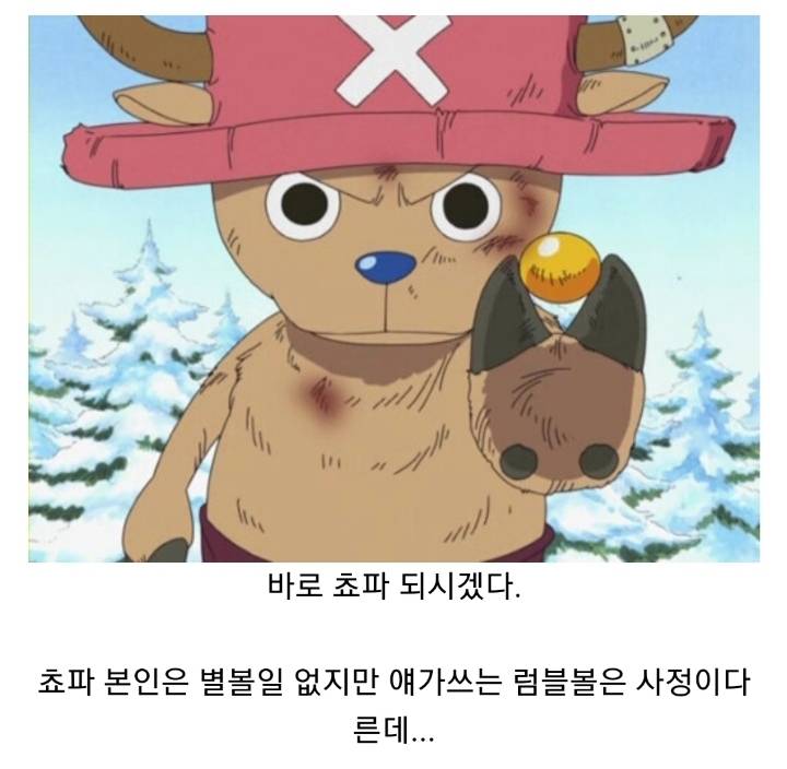 원피스) 카이도가 적극 영입해야할 인재 .JPG | 인스티즈