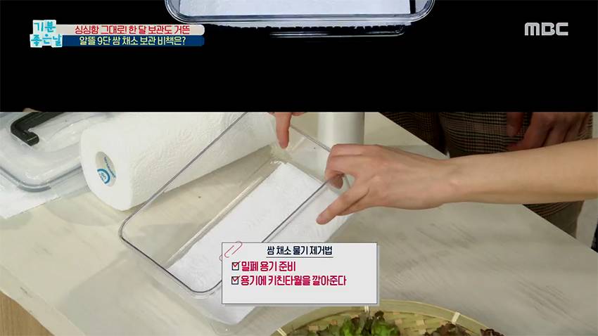싱싱함은 그대로! 쌈 채소 한 달 동안 보관하는 비법?! | 인스티즈