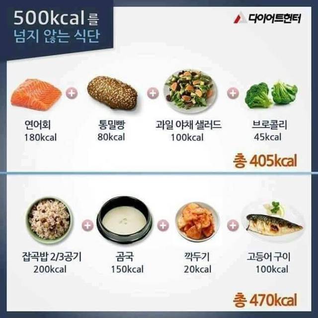 500칼로리를 넘지 않는다는 식단 | 인스티즈