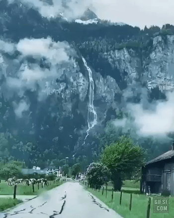 스위스 풍경 | 인스티즈