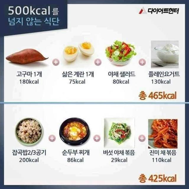 500칼로리를 넘지 않는다는 식단 | 인스티즈