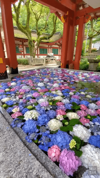 일본 신사(神社) 목욕탕 | 인스티즈