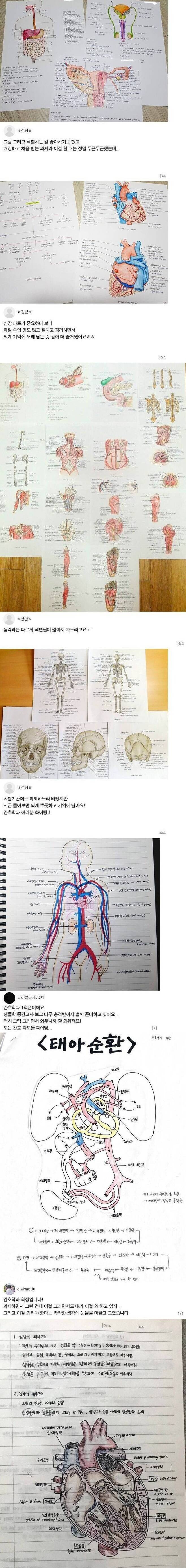 간호학과 필기 클라쓰 | 인스티즈