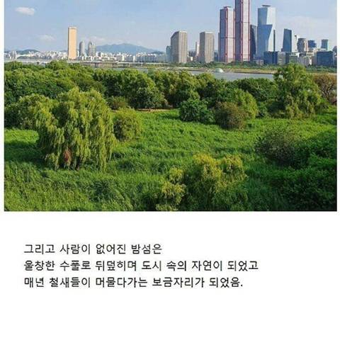 서울 한강에 있다는 섬의 정체..jpg | 인스티즈