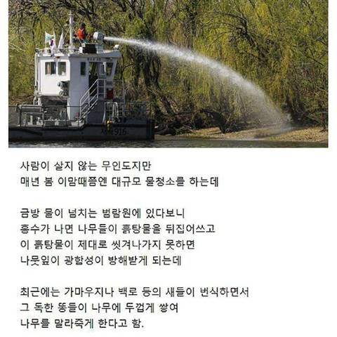 서울 한강에 있다는 섬의 정체..jpg | 인스티즈