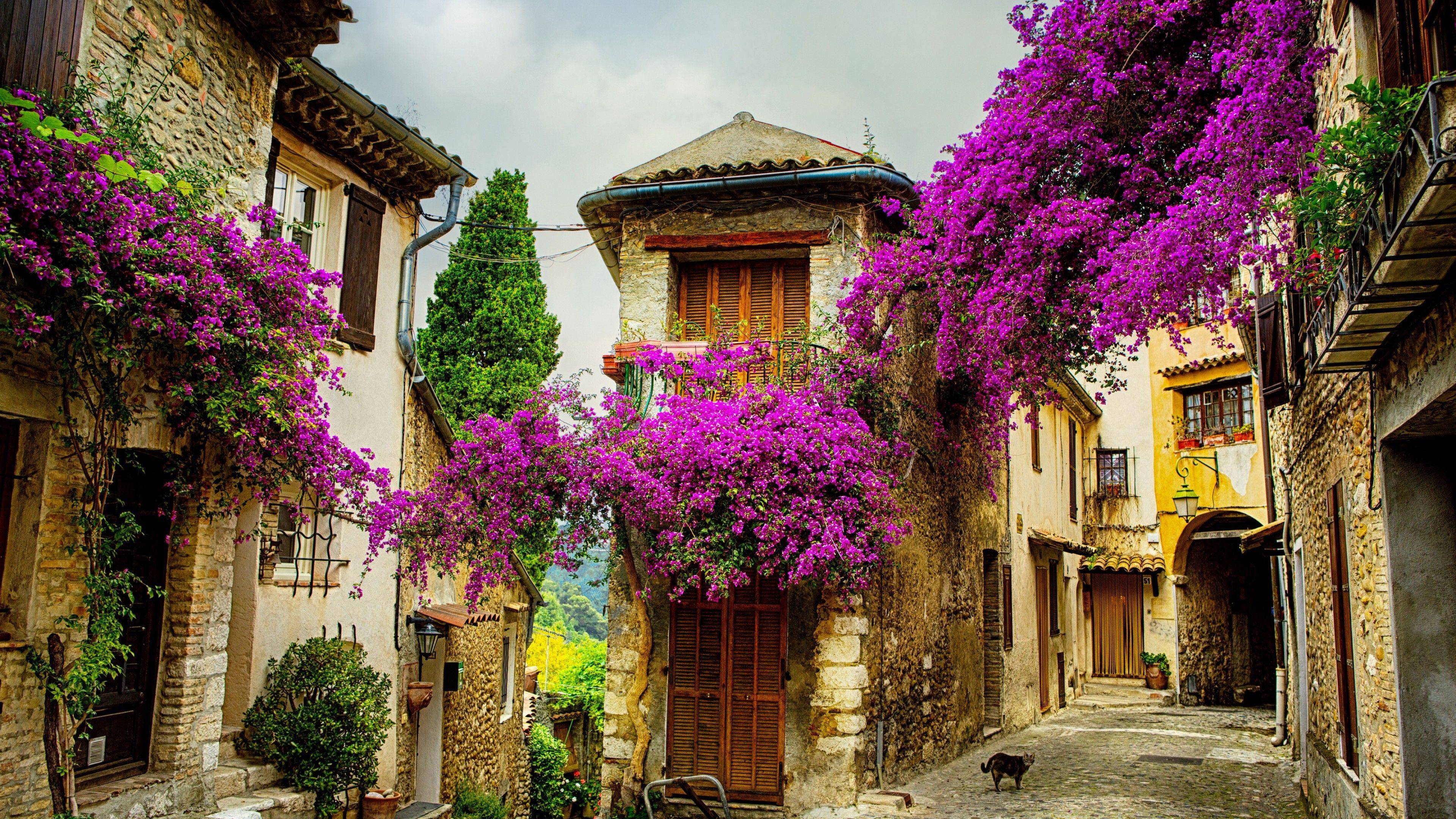프랑스에서 가장 아름다운 지역 | 인스티즈