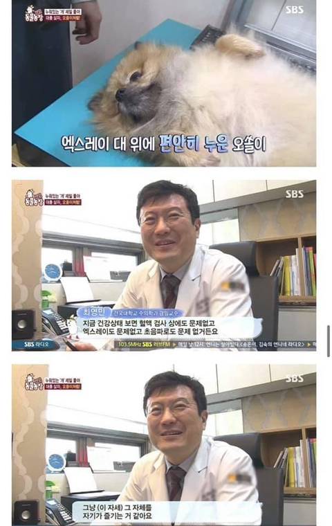 귀여움으로 동물농장 레전드 찍은 댕댕이 | 인스티즈