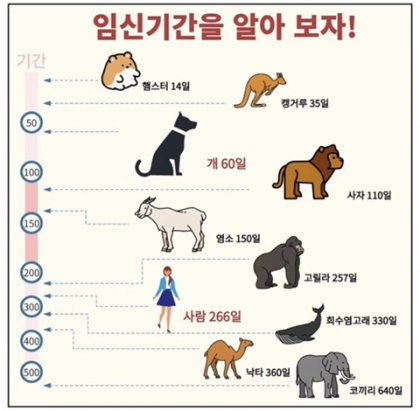 동물들 임신기간을 알아보자 | 인스티즈