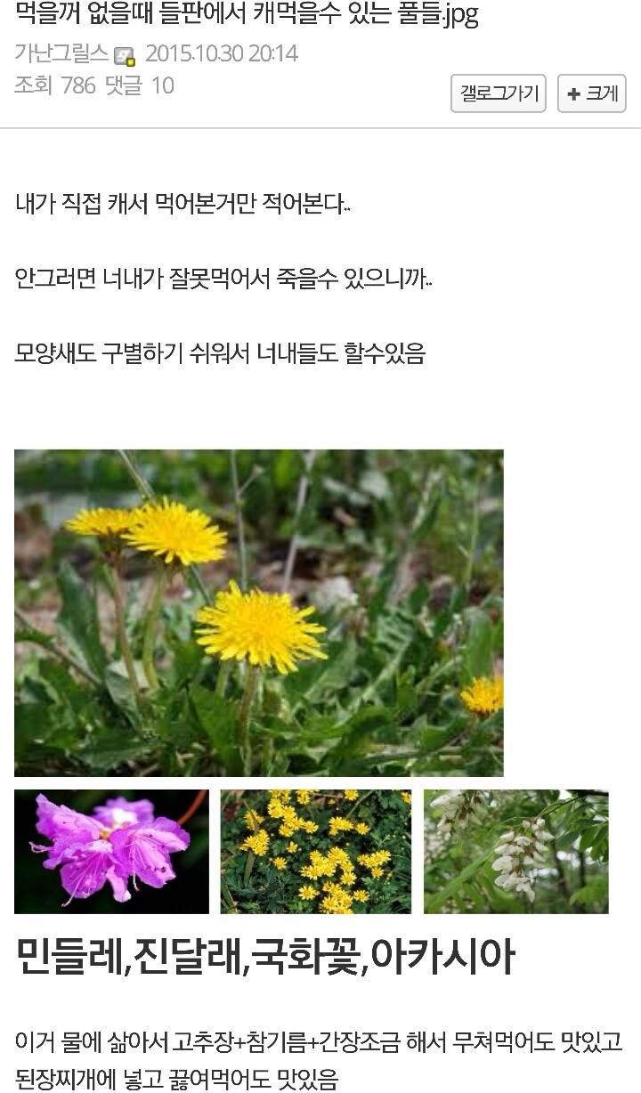 디씨에 새로 생긴 갤러리 | 인스티즈