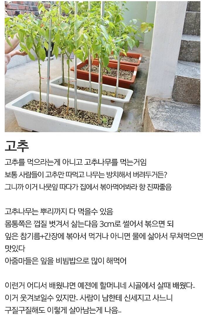 디씨에 새로 생긴 갤러리 | 인스티즈