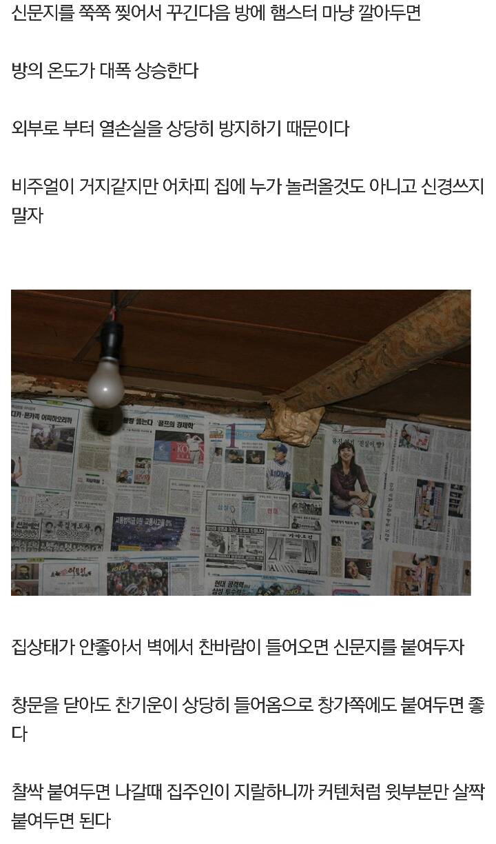 디씨에 새로 생긴 갤러리 | 인스티즈