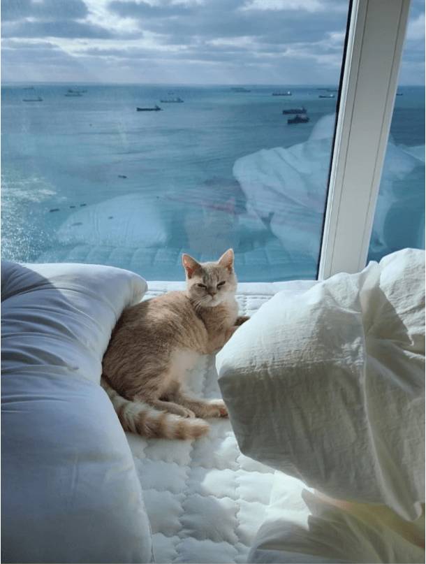 호불호 갈린다는 부산 아파트 | 인스티즈