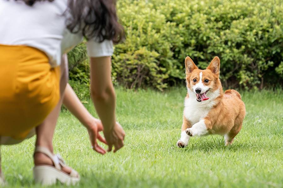 좀비 아포칼립스 시대를 국면한 당신, 어떻게 하실건가요? | 인스티즈