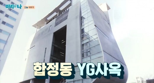 [단독] YG사옥, 흉기 든 30대 여성 난동…경찰 측 "부상자 없다" | 인스티즈