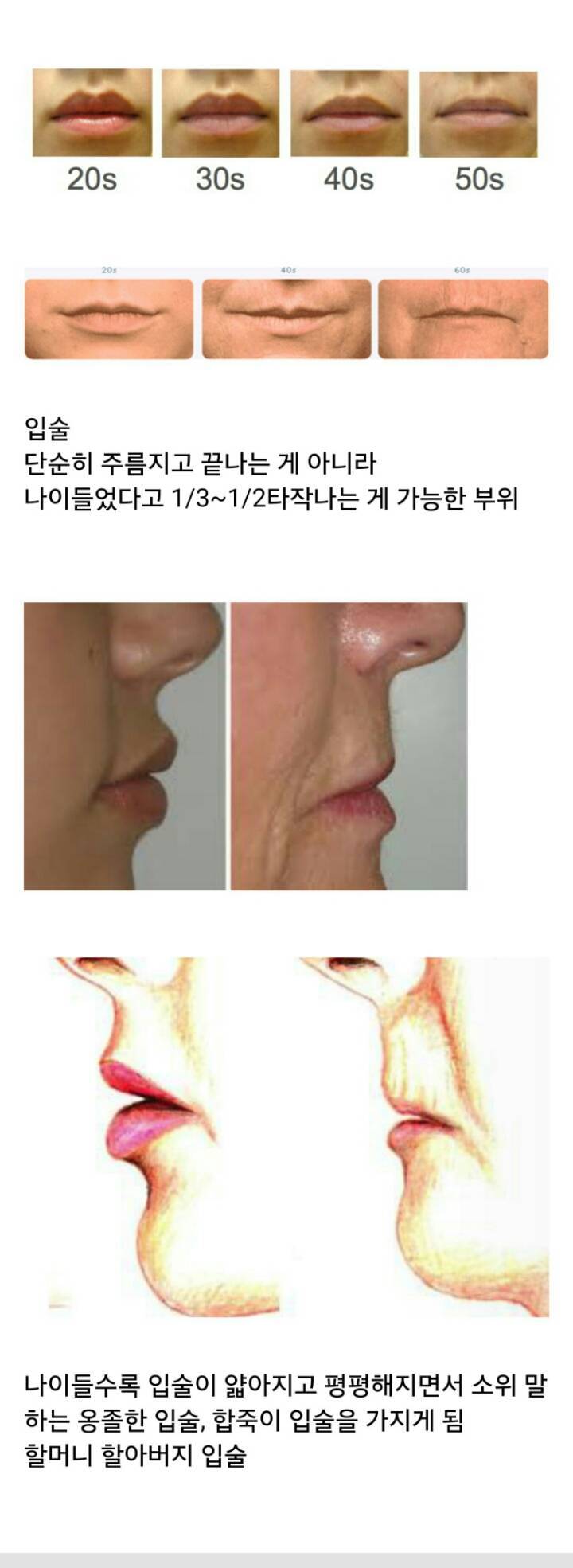 늙으면서 변하는 게 티가 많이 나는 부위.jpg | 인스티즈