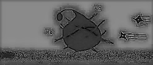 메이플 자리싸움하는 만화 | 인스티즈