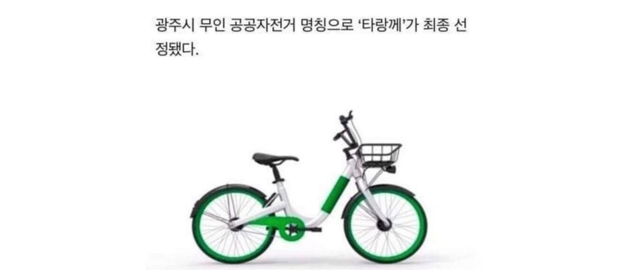 광주광역시 공공자전거 이름 '타랑께'로 채택됐는데 베플 ㅋㅋㅋㅋㅋ | 인스티즈