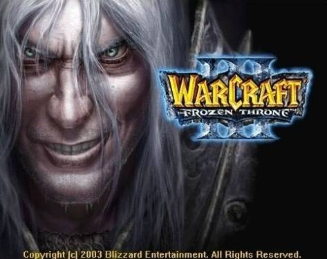 본인이 생각하는 블리자드를 대표하는 게임은? | 인스티즈