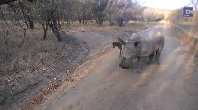 유전만큼 환경이 중요한 이유 | 인스티즈