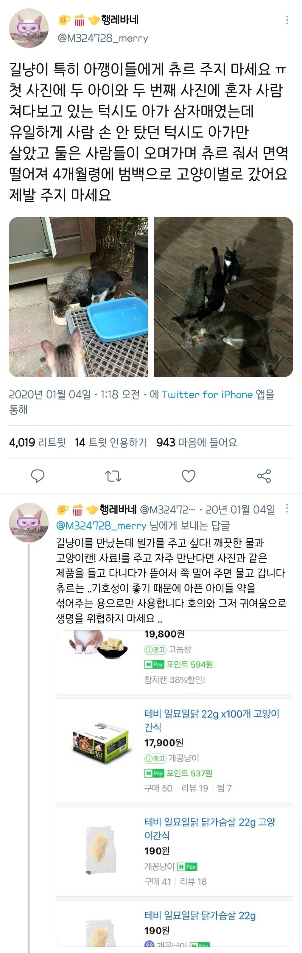 길에서 고양이 보면 만지지 마세요 추르 주지 마세요 | 인스티즈