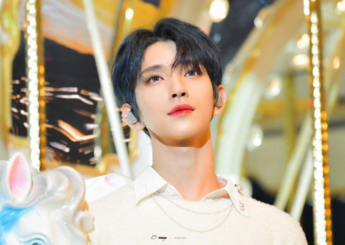 송진내가 화면밖까지 나는 세븐틴 조슈아 홈마가 찍은 오마이걸 비니 - 인스티즈(instiz) 이슈 카테고리