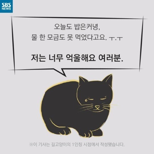 길에서 고양이 보면 만지지 마세요 추르 주지 마세요 | 인스티즈