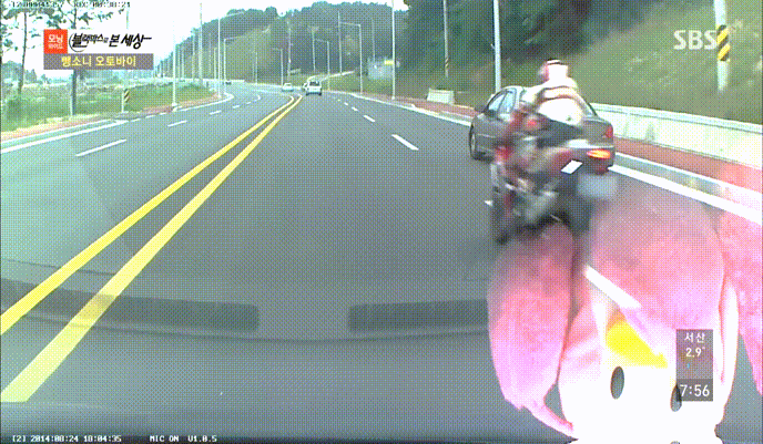 답이 없는 바이크 사고들.. | 인스티즈