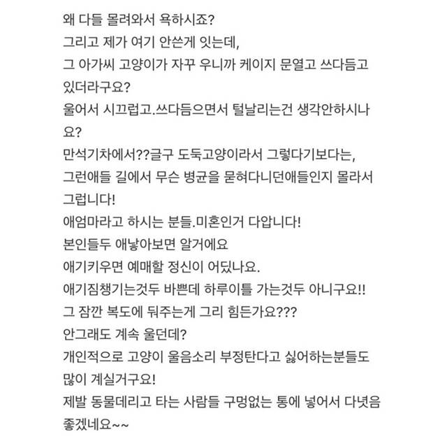 판) 기차에 고양이 데리고 탄 아가씨때문에 죽을뻔했어요 | 인스티즈