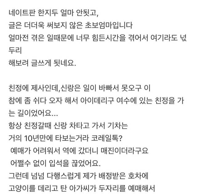 판) 기차에 고양이 데리고 탄 아가씨때문에 죽을뻔했어요 | 인스티즈